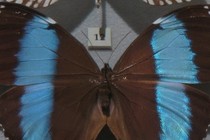 92965-210x140