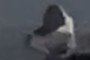 South Pole Telescope