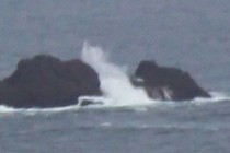 93368-210x140