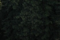 10953-210x140