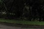 Jungle