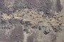 Landslide