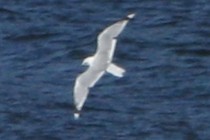 94056-210x140