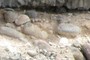 Rounded cobbles