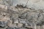 baked sediments