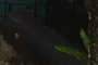 Hidden gas tank