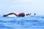 Swimmer