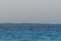 Isla Mujeres