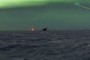 Ship lost a sea