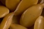 Golden Flax