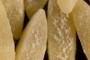 Orzo