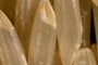 Long Grain Rice