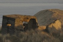 10665-210x140