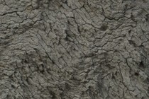 95169-210x140