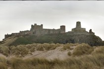 10721-210x140