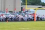 Morton Hogs