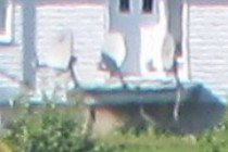 95738-210x140