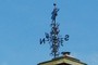 Weather vane