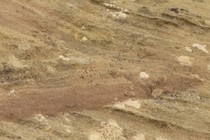 95776-210x140