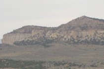 95781-210x140