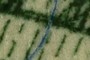 Blue Fiber
