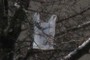 plastic sac