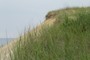 Marconi Station Dune (Wellfleet, MA)