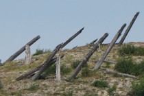 96626-210x140