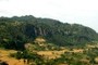 Sing'ore forest