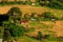 red roof