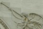 Angel and trumpet
