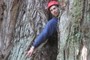 Cameron between trunks