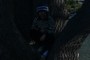 Tree Kid