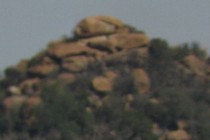 117431-210x140