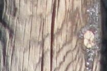 98820-210x140