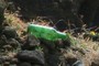 A bottle