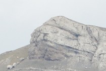 98390-210x140