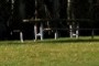 Picnic tables