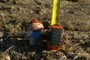 Field Assistant