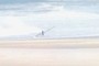 Great Beach Any Surfing