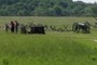 General Lee meets retreating soldiers