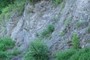 Rock Type B