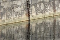 99468-210x140
