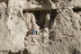 Cliffdweller Berti