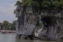 Elephant's trunk