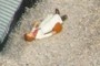 Passed Out?