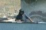 old lady navigator