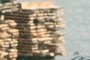 wood parquet production