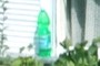 hidden soda
