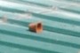flower pot